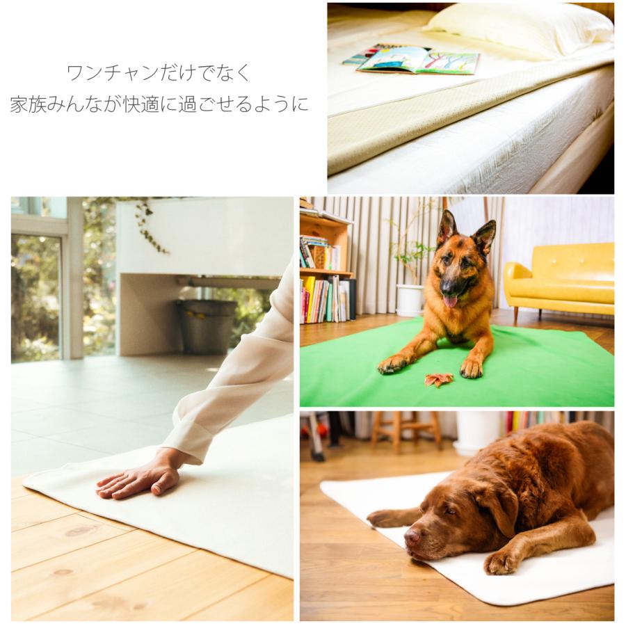 ペットシーツ 洗える 猫 犬 おしっこパッド おしっこ トイレ下敷き マット 漏れない 床 傷防止 ペット用 多頭買い INULABO イヌラボ 165×122cm 1枚｜zakka-mou｜16