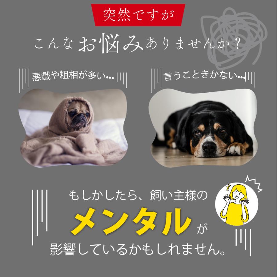 ペットシーツ 洗える 猫 犬 おしっこパッド おしっこ トイレ下敷き マット 漏れない 床 傷防止 ペット用 多頭買い INULABO イヌラボ 165×122cm 1枚｜zakka-mou｜03