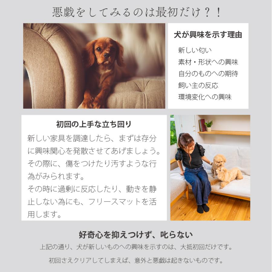 ペットシーツ 洗える 猫 犬 おしっこパッド おしっこ トイレ下敷き マット 漏れない 床 傷防止 ペット用 多頭買い INULABO イヌラボ 165×122cm 1枚｜zakka-mou｜08