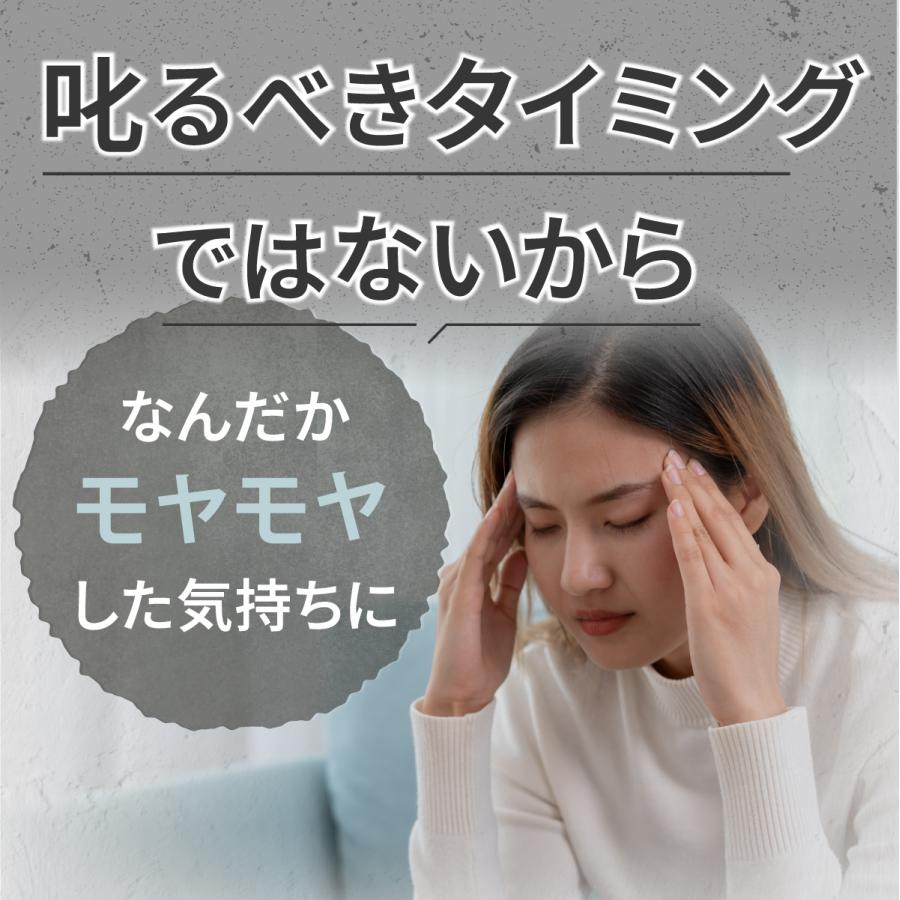 ペットシーツ 洗える 猫 犬 おしっこパッド おしっこ トイレ下敷き マット 漏れない 床 傷防止 ペット用 多頭買い INULABO イヌラボ 80*60cm 2枚｜zakka-mou｜05