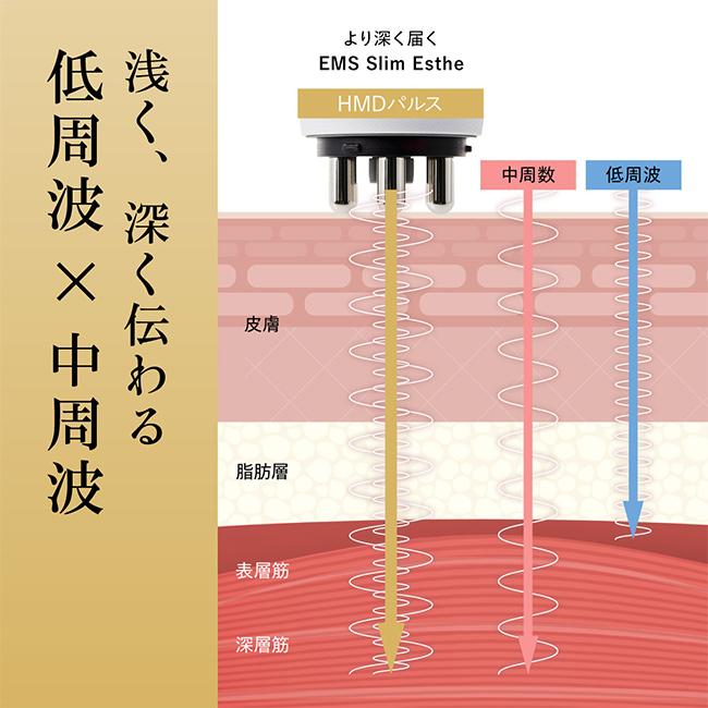WAVEWAVE EMS SLim Esthe スリムエステ(吸引 低周波 引き締め LED スキンケア 美顔器 顔 フェイシャル フェイス お腹)｜zakka-nekoya｜07