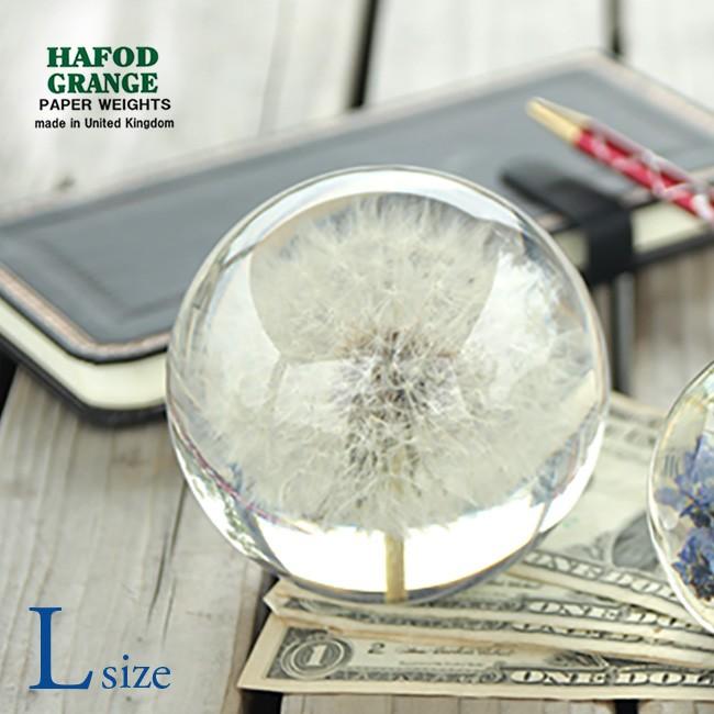 ハフォドグレンジHafodGrangeフラワーペーパーウエイトLセイヨウタンポポ HafodGrange ハフォドグレンジ 花文鎮フラワーペーパーウエイトL