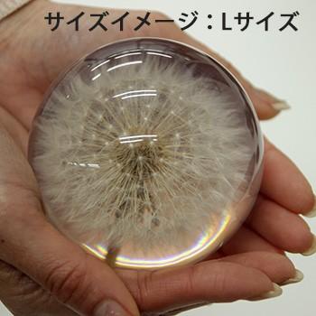 HafodGrange ハフォドグレンジ 花文鎮フラワーペーパーウエイトL