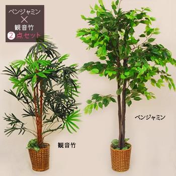 海外輸入 人工観葉植物 ベンジャミン 観音竹 ２点セット 観葉植物 セット 大型 樹木 鉢植え 人工植物 目隠し おしゃれ 居間 リビング 21新作モデル Arnabmobility Com