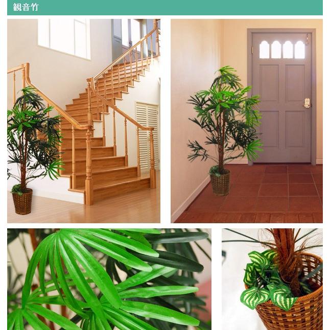 海外輸入 人工観葉植物 ベンジャミン 観音竹 ２点セット 観葉植物 セット 大型 樹木 鉢植え 人工植物 目隠し おしゃれ 居間 リビング 21新作モデル Arnabmobility Com