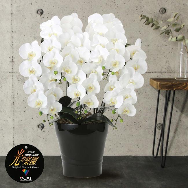 絶対一番安い 光の楽園 フレッシュ胡蝶蘭5本立ｗ 胡蝶蘭 造花 光触媒 フェイクグリーン お祝い ギフト 贈り物 メーカー直送 1 2w 新着商品 Www Sei Ba Gov Br