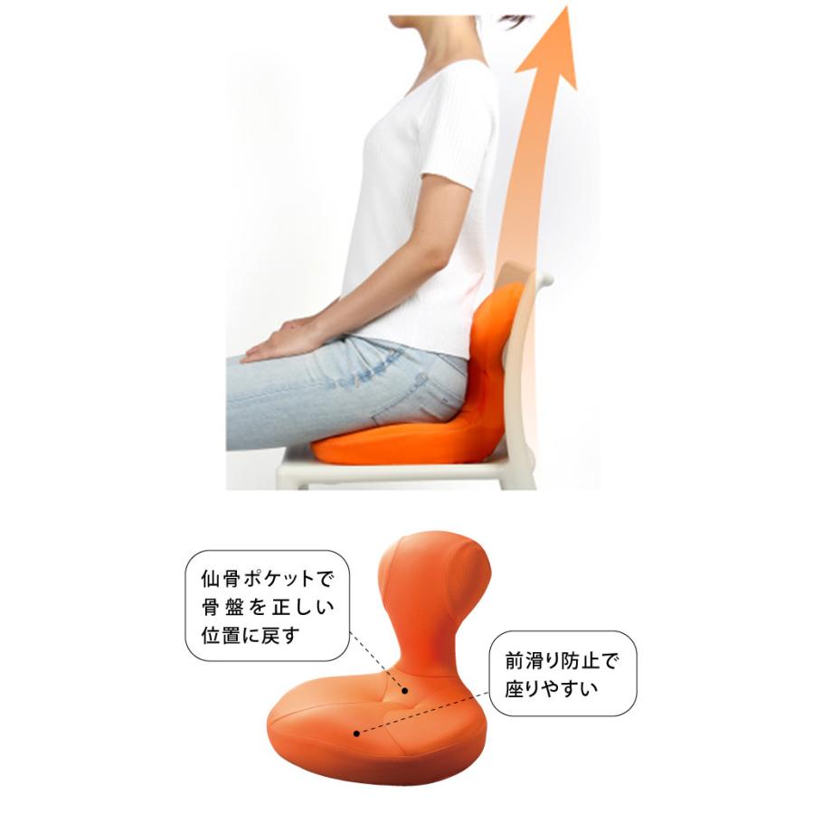 骨盤座椅子 凛座 0070-2391(骨盤 座椅子 ラボネッツ 姿勢 腰 背筋
