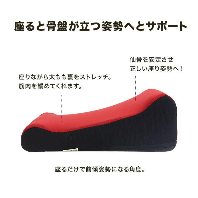 ろっかん式 ストレッチクッション(姿勢 矯正 保持 サポート クッション