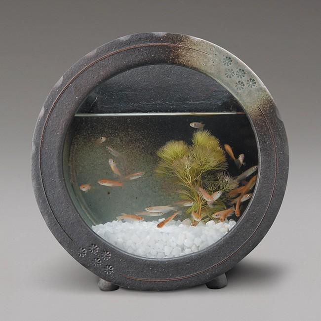 信楽焼 陶水槽 黒釉丸水槽 小 541 03 金魚鉢 アクアリウム 陶器 和風 Si0 雑貨のねこや 通販 Yahoo ショッピング