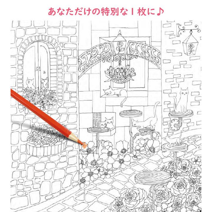 新装版 花と夢いっぱいのぬりえセット ぬりえ 花 夢 大人 子ども イラスト かわいい おしゃれ シンプル 模様 色鉛筆 冊子 Si507 雑貨のねこや 通販 Yahoo ショッピング
