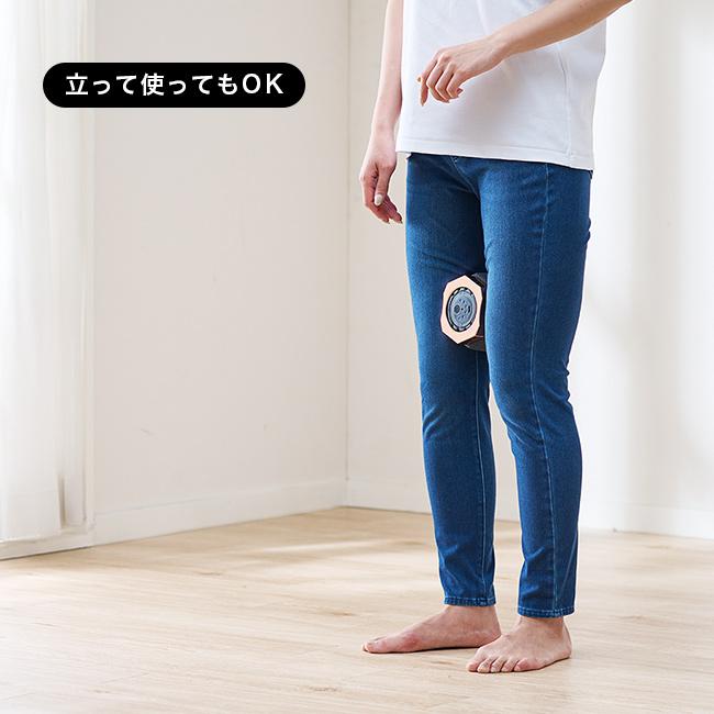 簡単内転筋トレーニング シェイクフィット 未使用品 簡単内転筋トレーニング シェイクフィット 未使用品