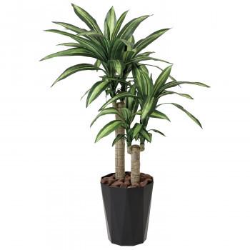 安い購入 光の楽園 光触媒加工 人工観葉植物 幸福の木1 1m 406g0 38 Ab 雑貨のお店 ノーブルビューティー 通販 Yahoo ショッピング 上質で快適 Mobile Scotturb Com