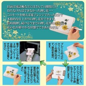 おし花教室セット(押し花キット) 和風フィルム付き : 雑貨のお店