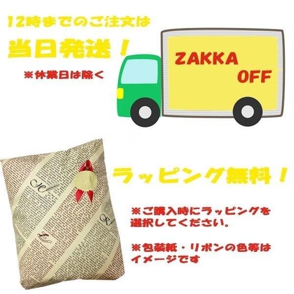 チャンピオン ジャンプ傘 60cm CHS01JP60雨傘 雨具 長傘 中学生 高学年 男の子 男子 通学 学校 子供 ジュニア|zakka-off|09