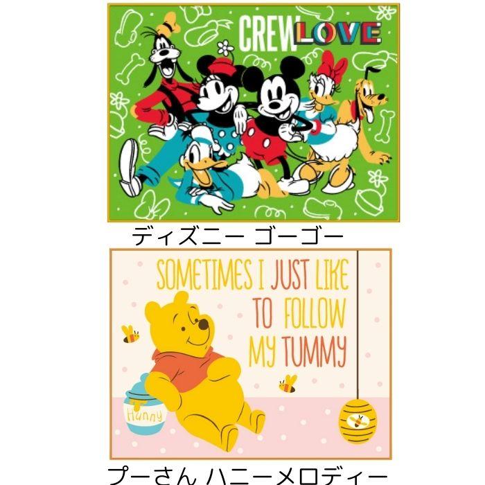 キャラクター レジャーシート 2~3人用 90×120cm 2人用 3人用 敷物 行楽