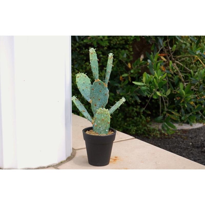 サボテン 置物 オブジェ 多肉植物 カクタス キンエボシ フェイク サボテン 置物 オブジェ 多肉植物 カクタス キンエボシ フェイク