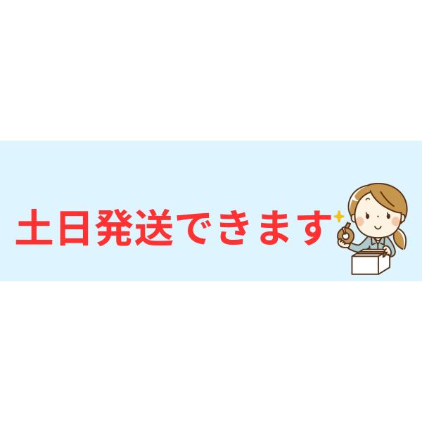 アンティーク・イマン imane イヴ イブ eve ビードキャニスター S 国産