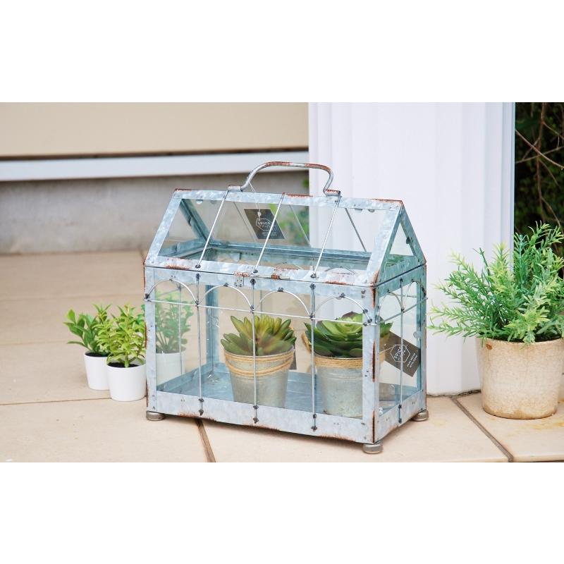 植物ケース ショーケース テラリュウム ガラス 安い 多肉 観葉 植物 ルーム インテリア グリーン ガーデニング 雑貨 ガーデン オブジェ コレット Zakka Olive ヤフー店 通販 Yahoo ショッピング