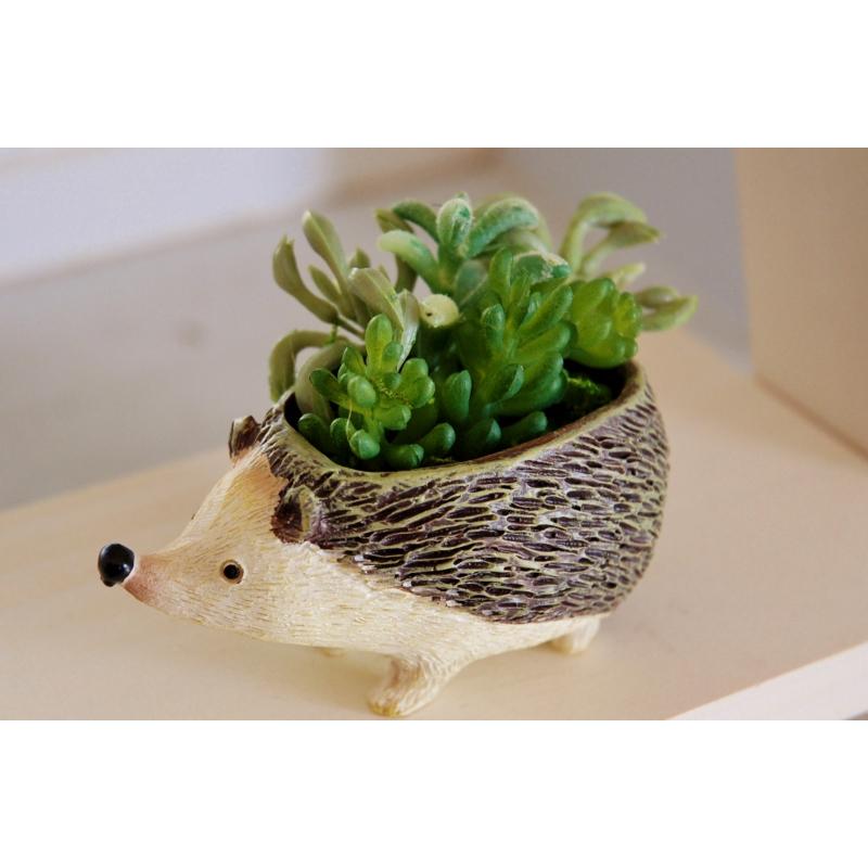 ガーデニング雑貨 プランターポット はりねずみ 友膳 植木鉢 ガーデニング雑貨 プランターポット はりねずみ 友膳 植木鉢