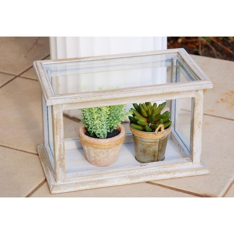 ショーケース 観葉植物 コレットショーケース ディスプレイケース ガラスケース ルームグリーン インテリアグリーン コベントガーデン フェイクグリーン 6390 Zakka Olive ヤフー店 通販 Yahoo ショッピング