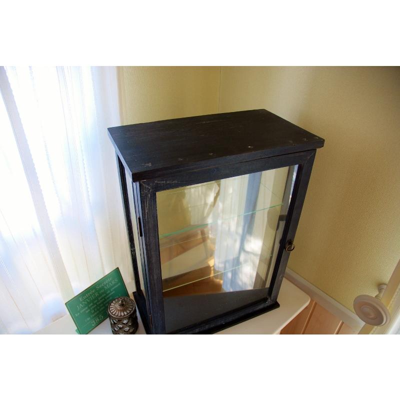 ノアール・コレクションシェルフ 大きい レトロ ショーケース