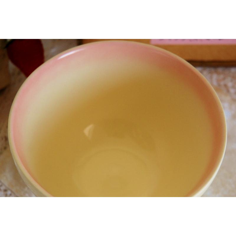 アンティーク・イマン 新品 imane ダイアナローズ お宝 国産陶器