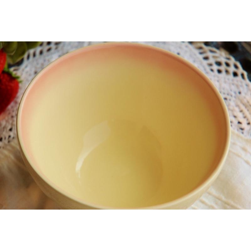 アンティーク・イマン 新品 imane ダイアナローズ お宝 国産陶器