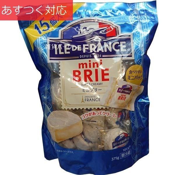 冷蔵発送 ミニブリーチーズ 25g x ILE 15個 新着セール DE 10％OFF FRANCE