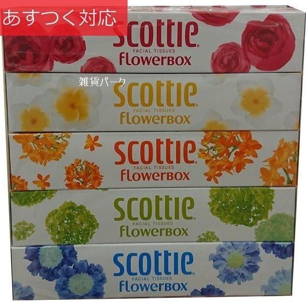 スコッティ フラワーボックス ティッシュ 60パック 1パック320枚 160組