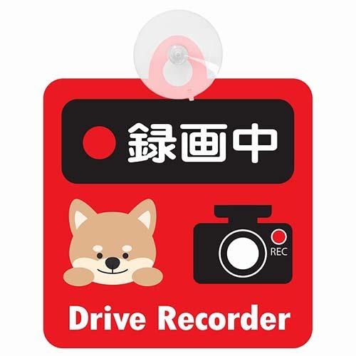 セーフティーサイン 吸盤付き REC Drive Recorder 車内前後カメラタイプ 録画中  いぬ　レッド　犬　DOG ドライブレコーダー　
