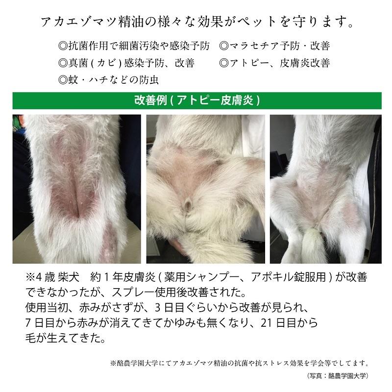 犬 猫 ペット 肌ケア スキンプロテクトスプレー 50ml アトピー 皮膚炎 マラセチア菌 炎症 予防 防虫｜zakka-roy｜03