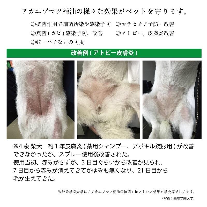 犬 猫 ペット 肌ケア スキンプロテクトスプレー 120ml アトピー 皮膚炎 マラセチア菌 炎症 予防 防虫｜zakka-roy｜03