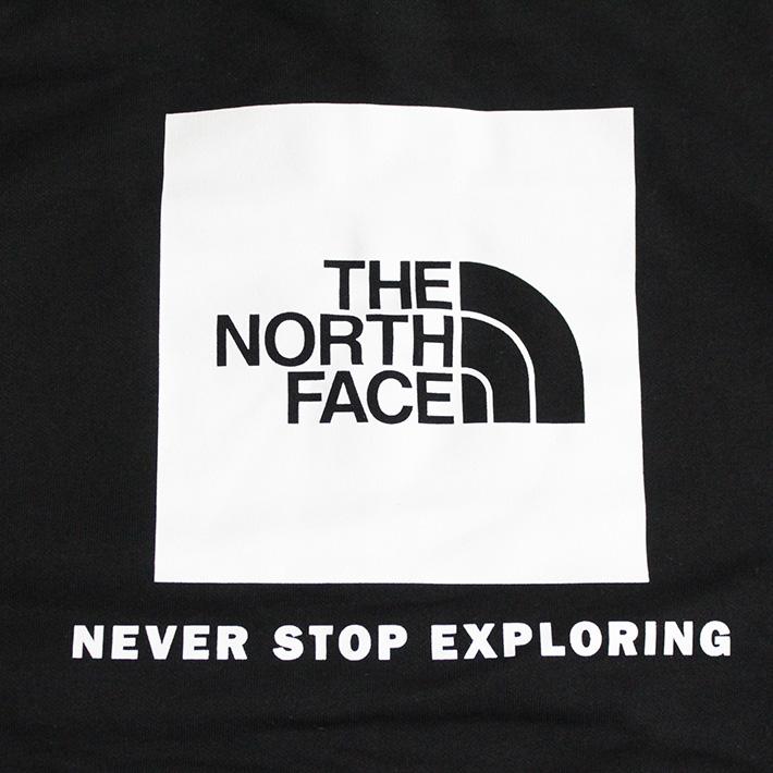 並行輸入品 THE NORTH FACE ザ ノースフェイス Evolution Box NSE Regular Hoodie エボリューション ボックスNSE フーディ NF0A8CWP スウェット パーカー 長袖 | THE NORTH FACE | 06