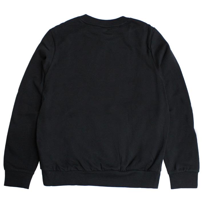 並行輸入品 THE NORTH FACE ザ ノースフェイス Evolution Simple Dome Crew エボリューション シンプルドーム クルー NF0A8D60 スウェット トレーナー 長袖 | THE NORTH FACE | 01