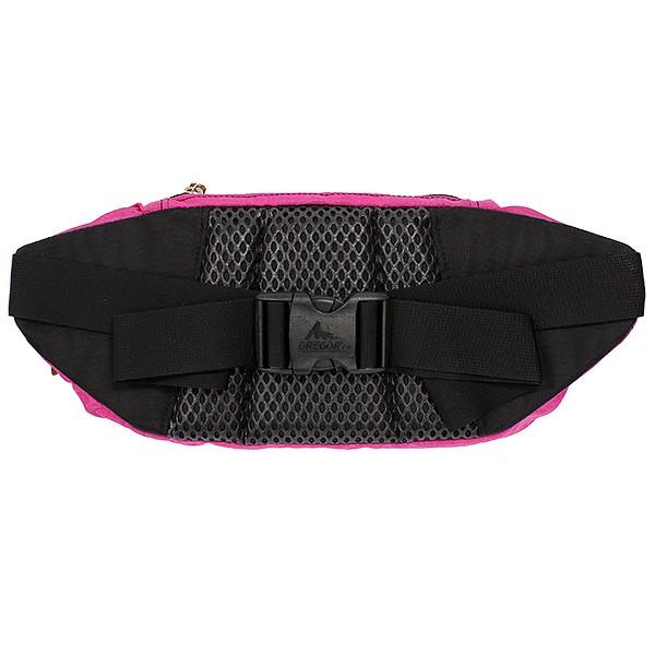 希少 GREGORY USA製 旧タグ ヒップバッグ ウエストバッグ 2WAY 希少 GREGORY USA製 旧タグ ヒップバッグ ウエストバッグ 2WAY