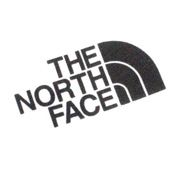THE NORTH FACE ザ ノースフェイス M S/S SIMPLE DOME TEE メンズ シンプル ドーム Tシャツ NF0A2TX5 半袖 ロゴ プリント メンズ クリスマス｜zakka-tokia｜06