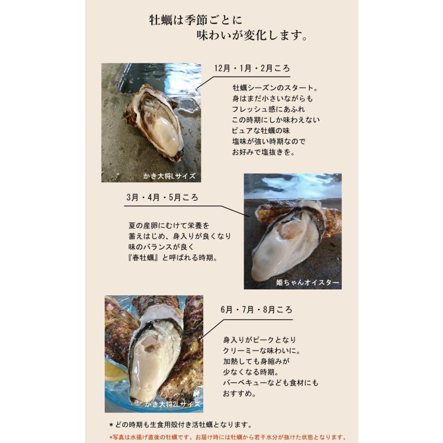 『バージンオイスター40個』三陸 宮城 女川 牡蠣 殻付き 生食用 生牡蠣 生カキ 産地直送 BBQ 牡蠣ナイフセット付(片軍手・レシピ/殻の剥き方)ギフト のし対応可｜zakka-ya-oh｜13