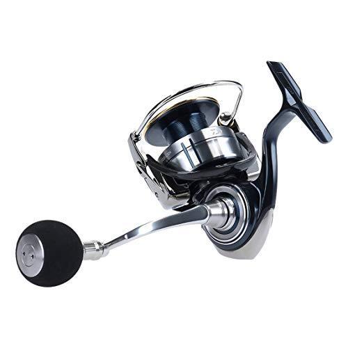 ダイワ(DAIWA) スピニングリール 19 セルテート LT5000D-CXH