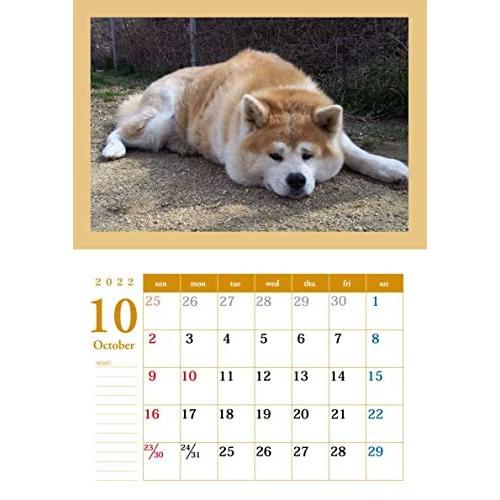 ポチパパちゃんねる 保護犬達の楽園 22年カレンダー命 アキラ 4月始まり S 2617 ザッカ123 通販 Yahoo ショッピング