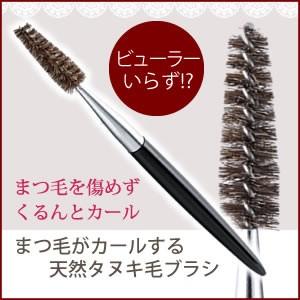 メール便送料無料 まつ毛がカールする天然タヌキ毛ブラシ Nashvillehub Org