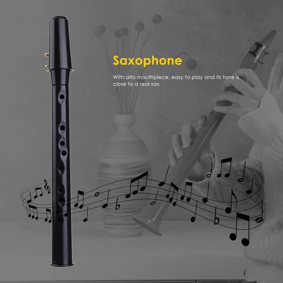 ミニ サックス アルト マウスピース ポケット サックス 5 リード 楽器 ポータブル リトル 木管楽器 キャリング バッグ付き  :it00030:雑貨ファクトリー - 通販 - Yahoo!ショッピング