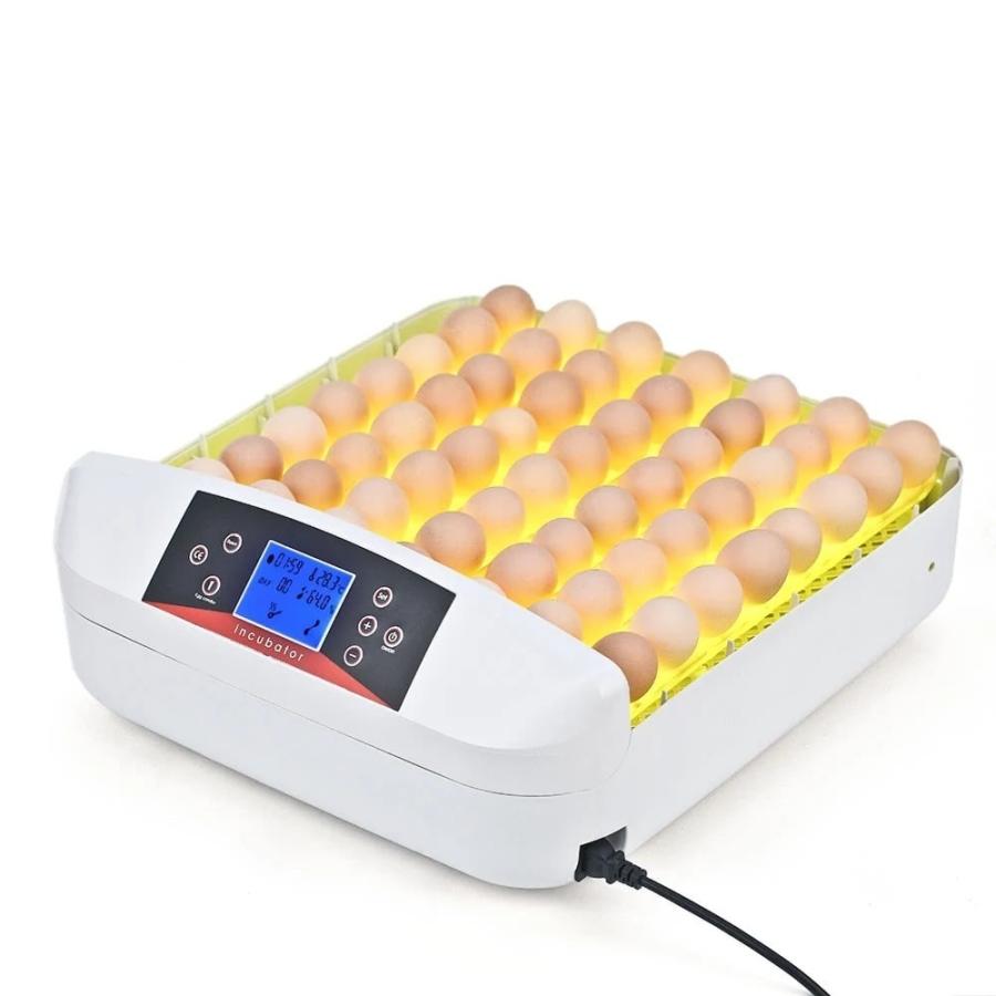 鳥のLED孵卵器 鳥 ペット PSE認証 ふ卵器 孵化器 業務用 インキュベーター 最大56個 国内電圧対応 : th01894 : 雑貨ファクトリー  - 通販 - Yahoo!ショッピング