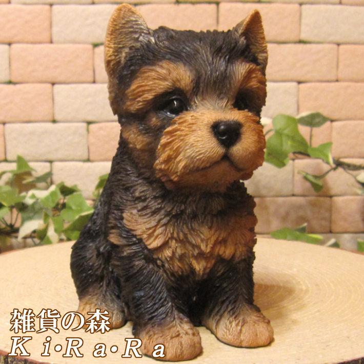 置物 動物 可愛い 犬の置物 ヨークシャーテリア ヨーキー お座りタイプ リアル フィギュア オブジェ オブジェ ガーデン 装飾 ベランダアート 雑貨の森 Ki Ra Ra Yahoo 店 通販 Yahoo ショッピング