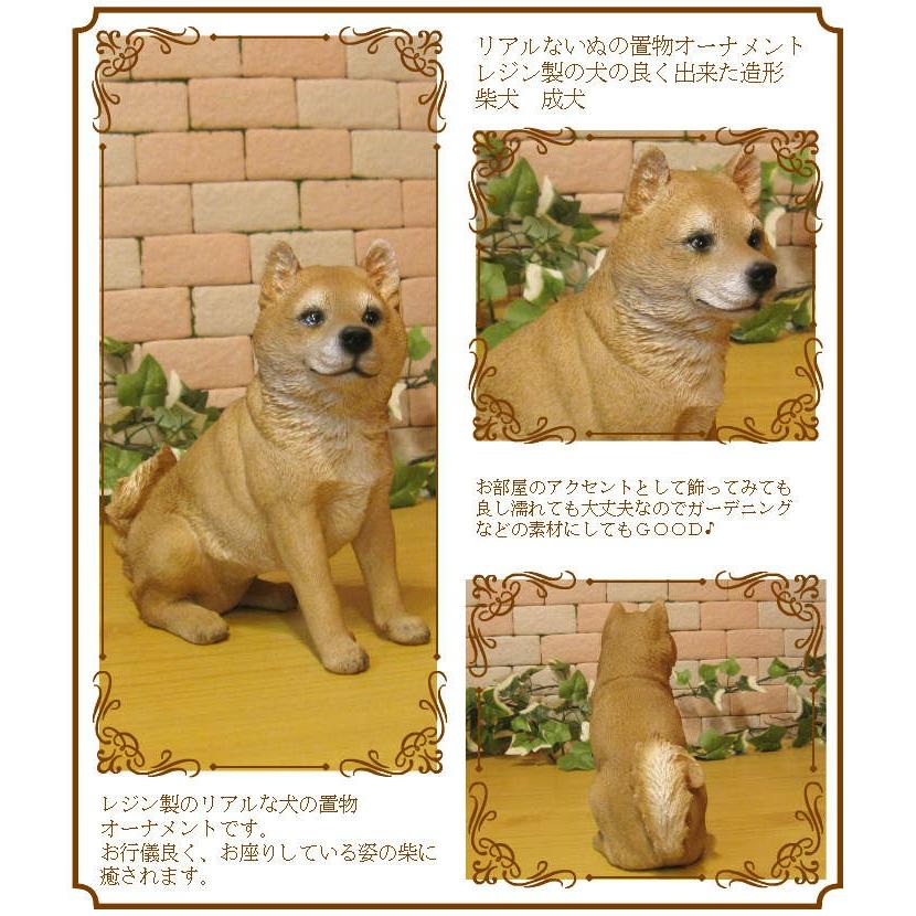 犬の置物 柴犬 お座りタイプ 柴 成犬 リアルなイヌのオブジェ いぬのフィギア 動物オブジェ ガーデンオーナメント 装飾 フィギュア モチーフ 雑貨の森 Ki Ra Ra Yahoo 店 通販 Yahoo ショッピング