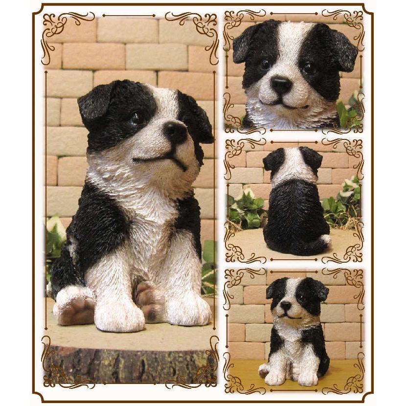 置物 動物 可愛い 犬の置物 ボーダーコリー お座りタイプ リアル 子