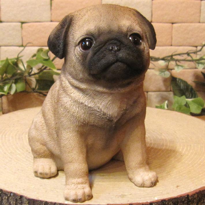 置物　動物置物　陶器　パグ　犬　オブジェ　インテリア　玄関用品　用品　ガーデン 置物 動物置物 陶器 パグ 犬 オブジェ インテリア 玄関用品 用品 ガーデン