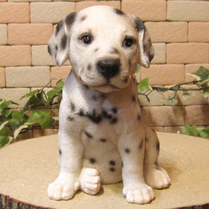 置物 動物 可愛い 犬の置物 ダルメシアン リアル お座りタイプ 子いぬ