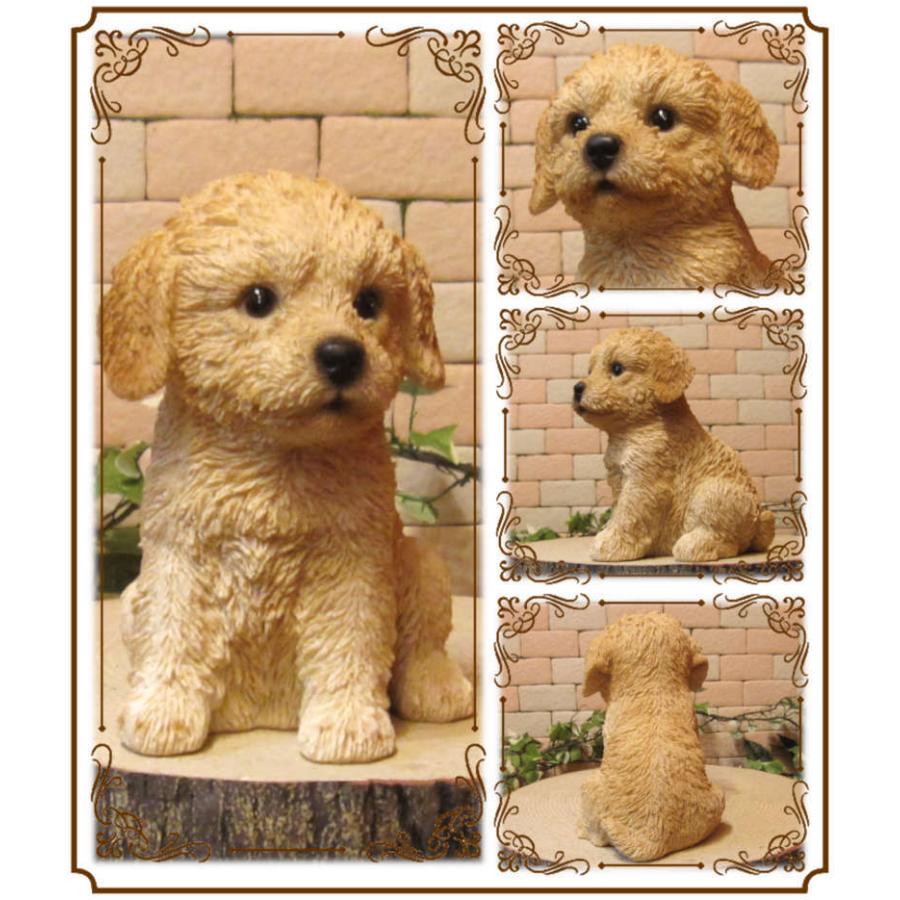 置物 動物 可愛い 犬の置物 プードル A リアル お座りタイプ 子いぬの