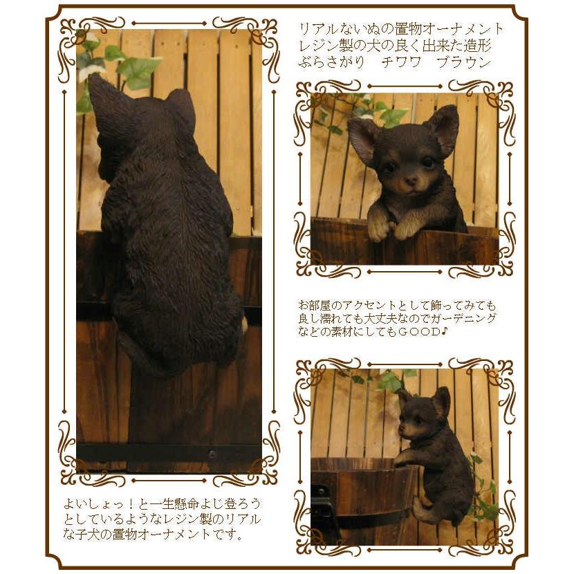 犬の置物 チワワ リアルな犬の置物 ぶらさがりドッグ ブラウン 子いぬのフィギア イヌのオブジェ ガーデニング 玄関先 陶器 雑貨の森 Ki Ra Ra Yahoo 店 通販 Yahoo ショッピング