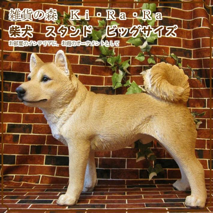 置物 動物 可愛い 犬の置物 柴犬 リアル スタンド 成犬ビッグサイズ